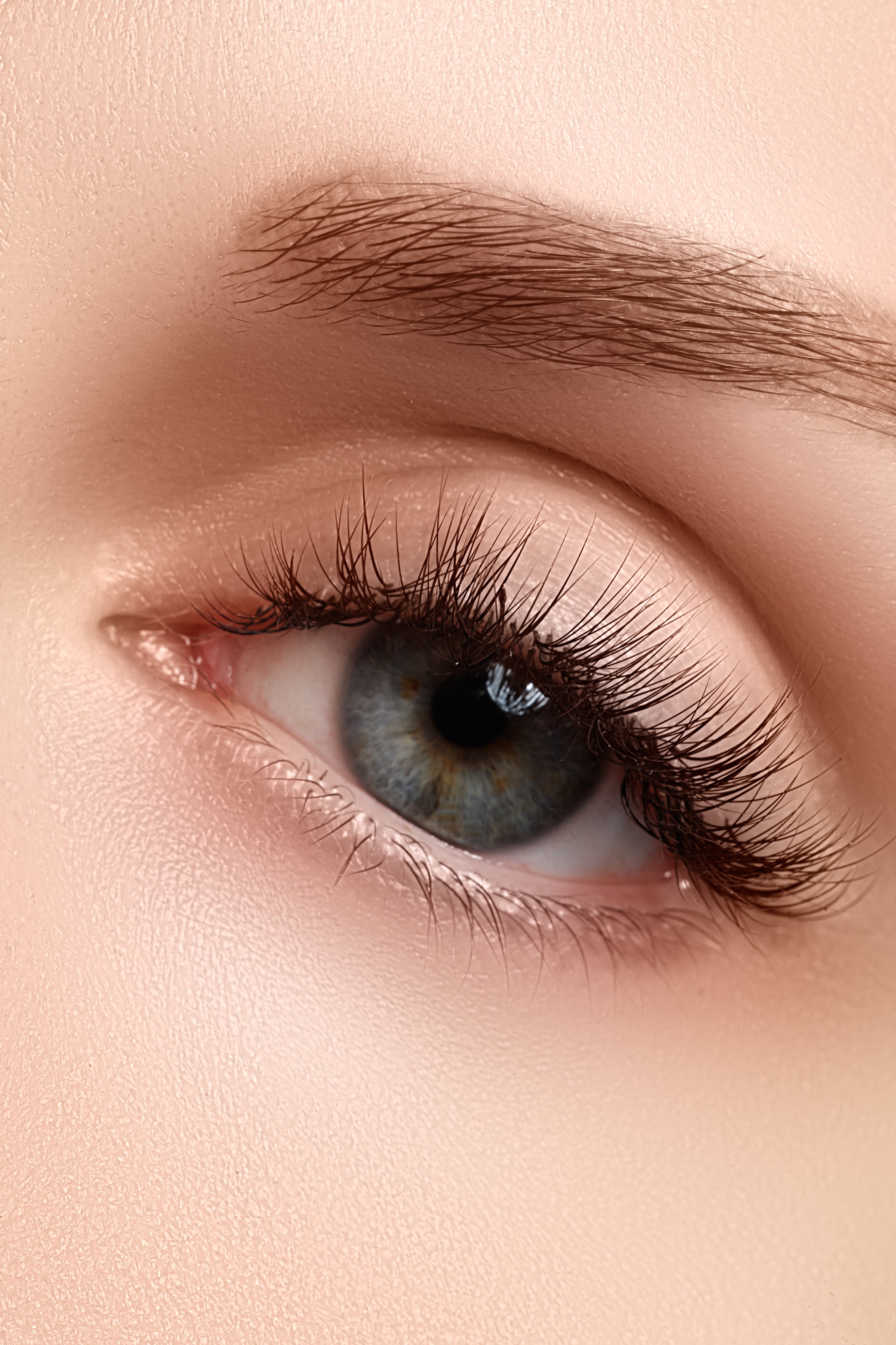 EYELASH